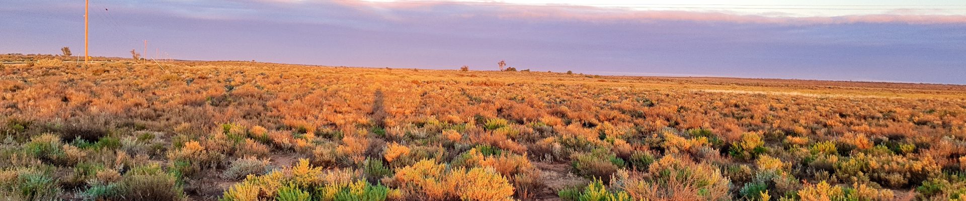Site of Renmark Road Camp